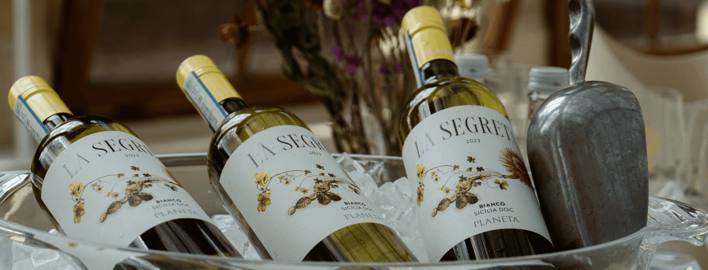 Bottles of white wine in an ice bucket