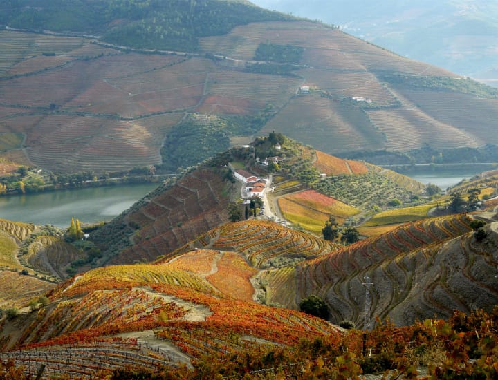 Producer profile Quinta do Crasto