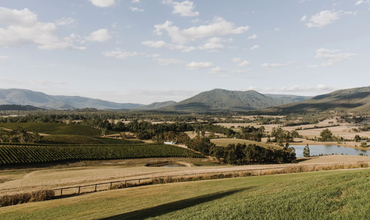 Views of the estate