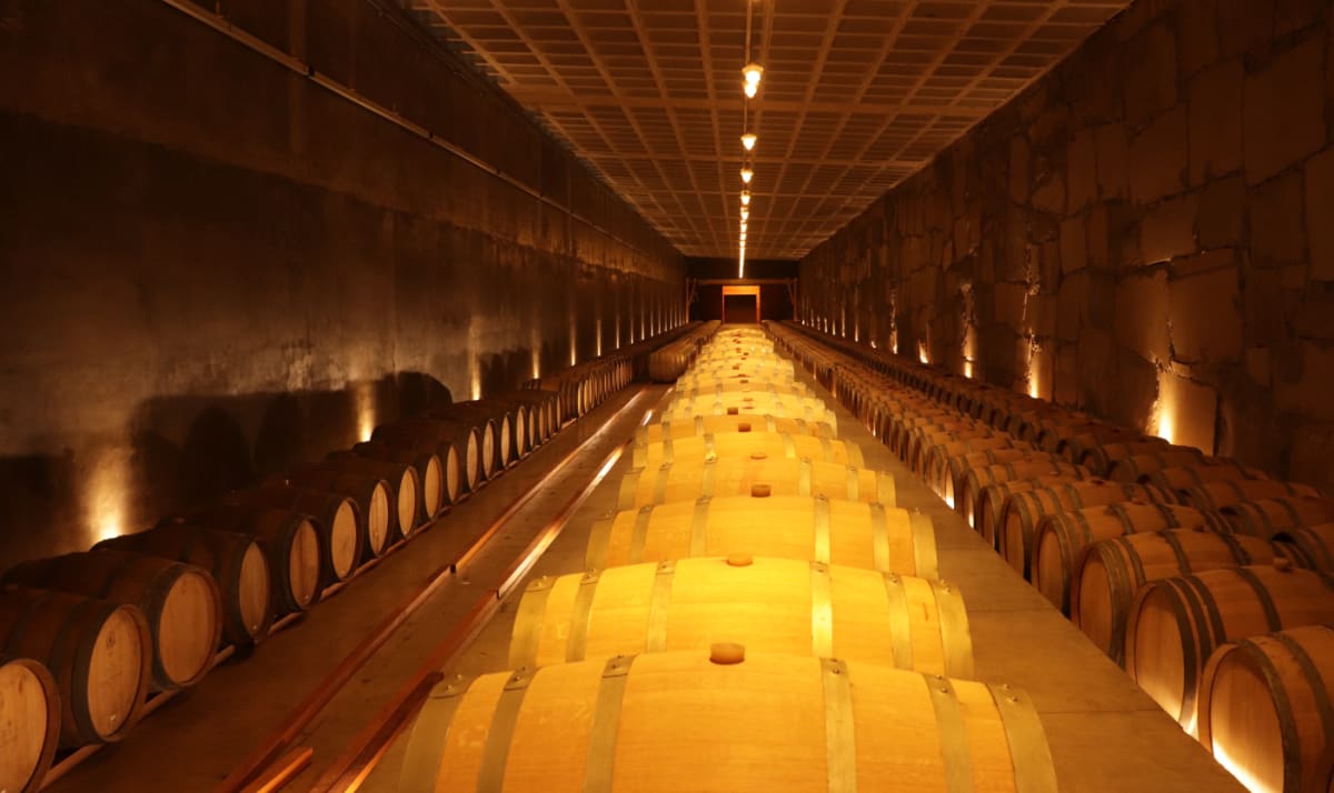 Collection of barrels in cellar