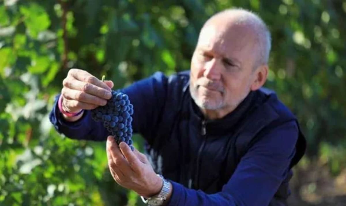 Lenz Moser in the Changyu vineyards