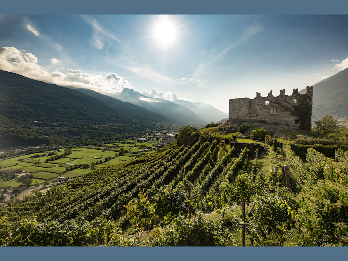 The slopes of Nino Negri