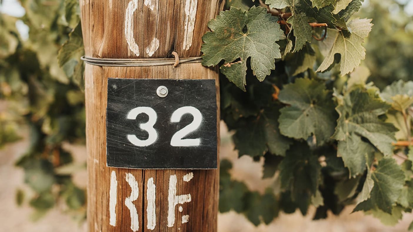A vine post with the number 32, at the end of a row of Riesling vines in Pike's Clare Valley vineyard
