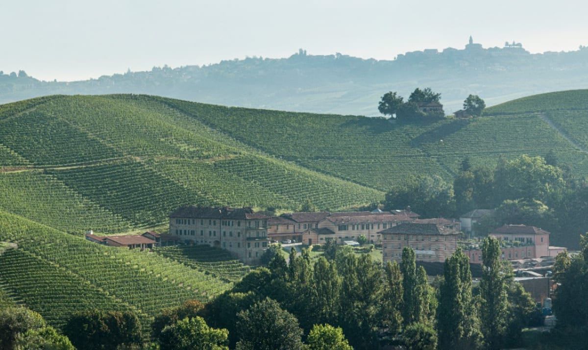 amphitheatre of vines over the Fontanafredda winery