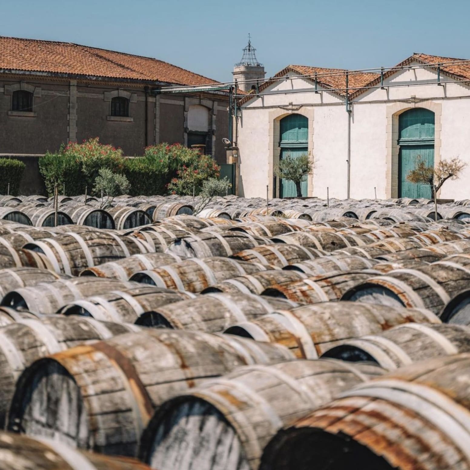 Noilly Prat maturation yard