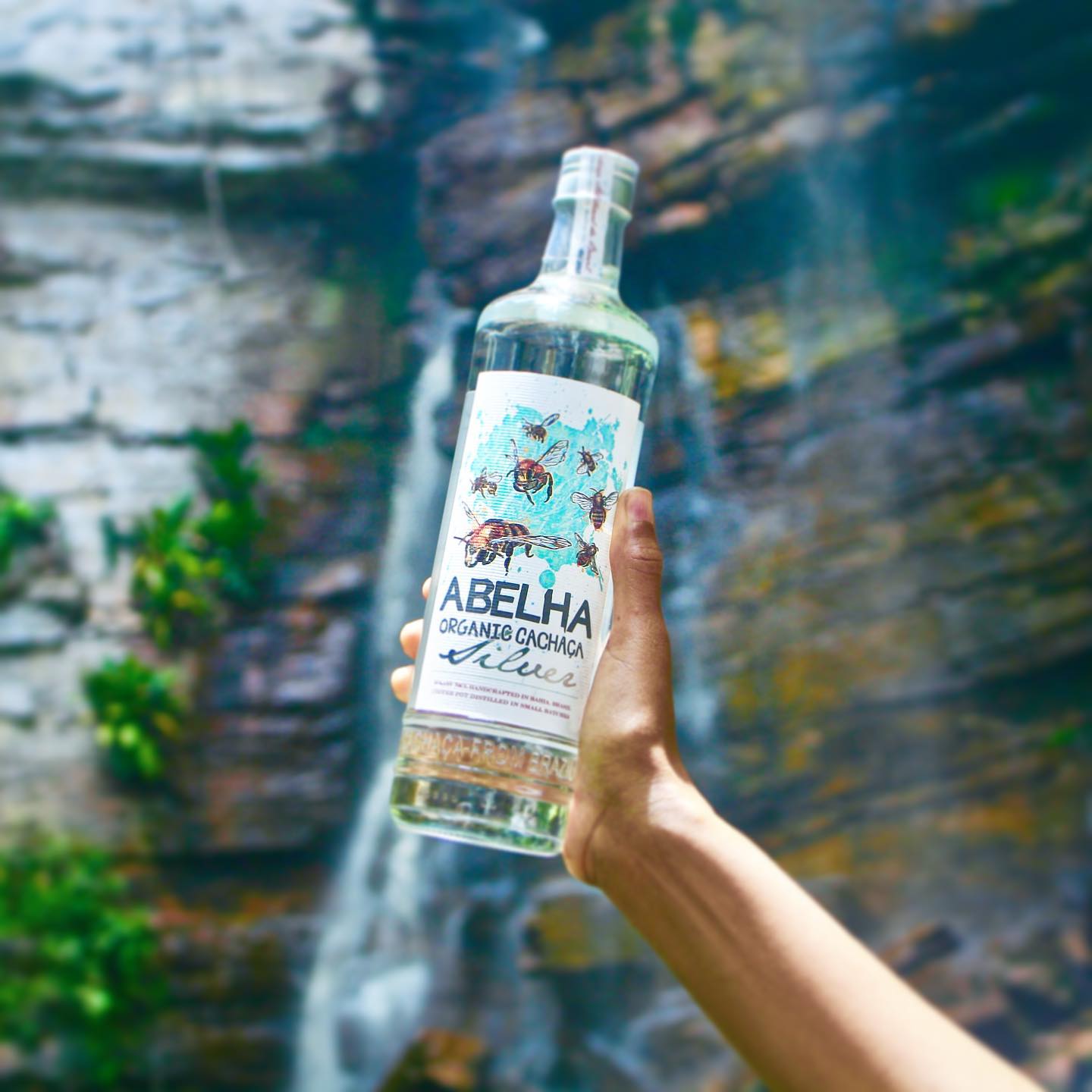 Abelha Organic Cachaca