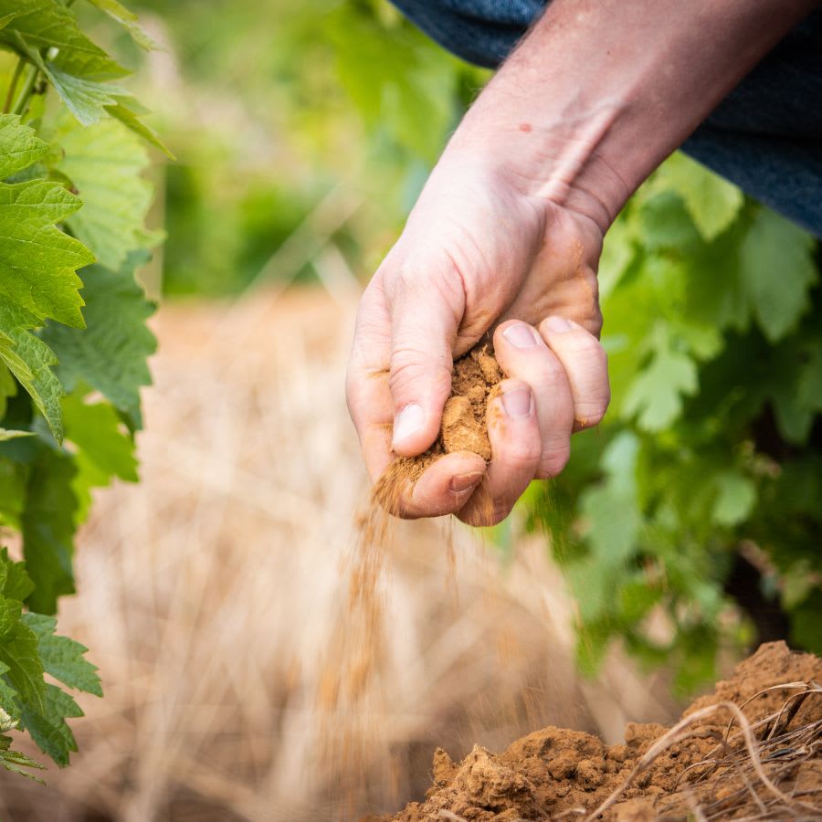 Working the soil at Meinert