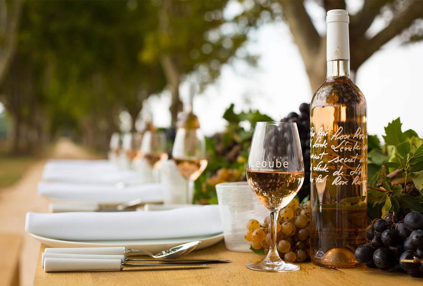 French Finesse Rosé