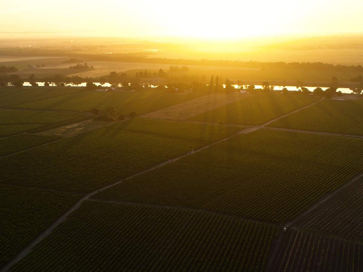View of Bogle's vineyards and land at sunset