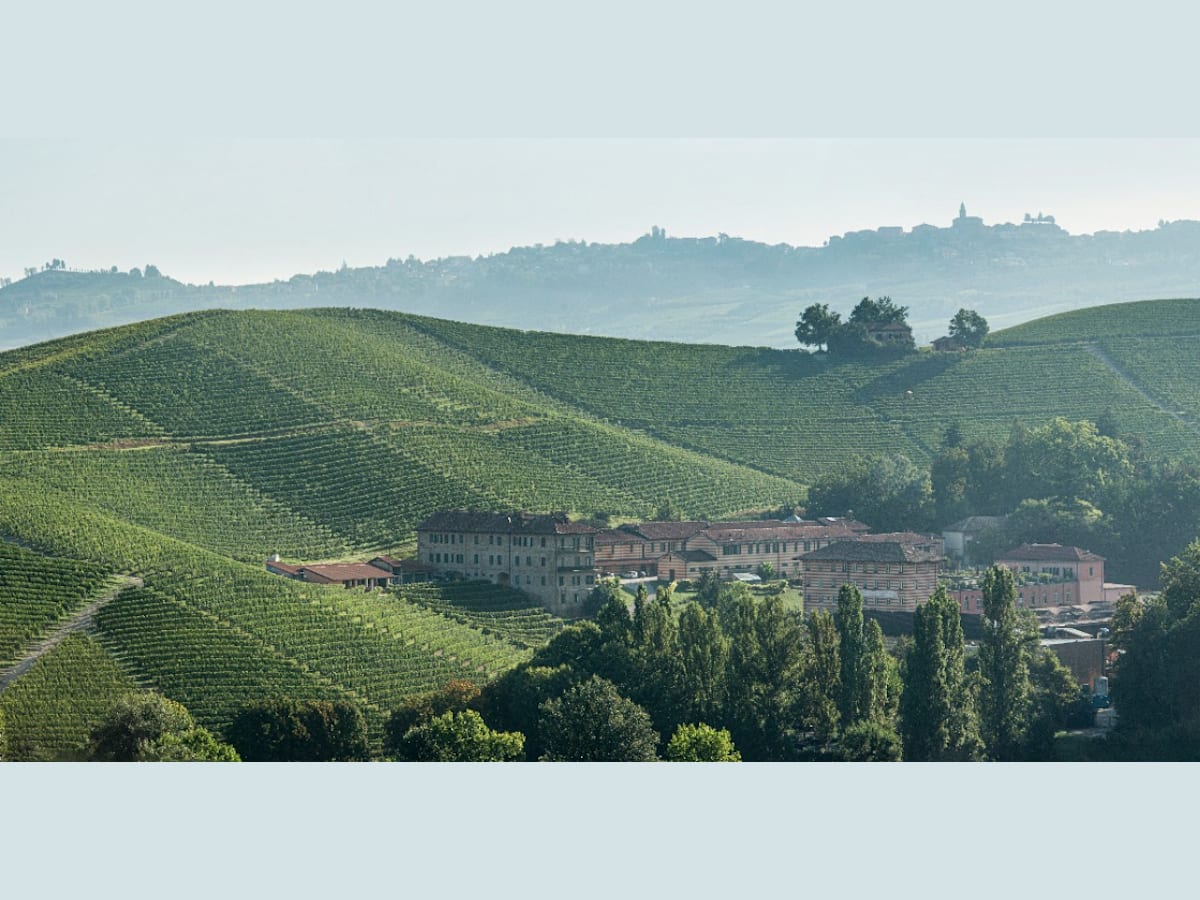 View of Fontanafredda estate