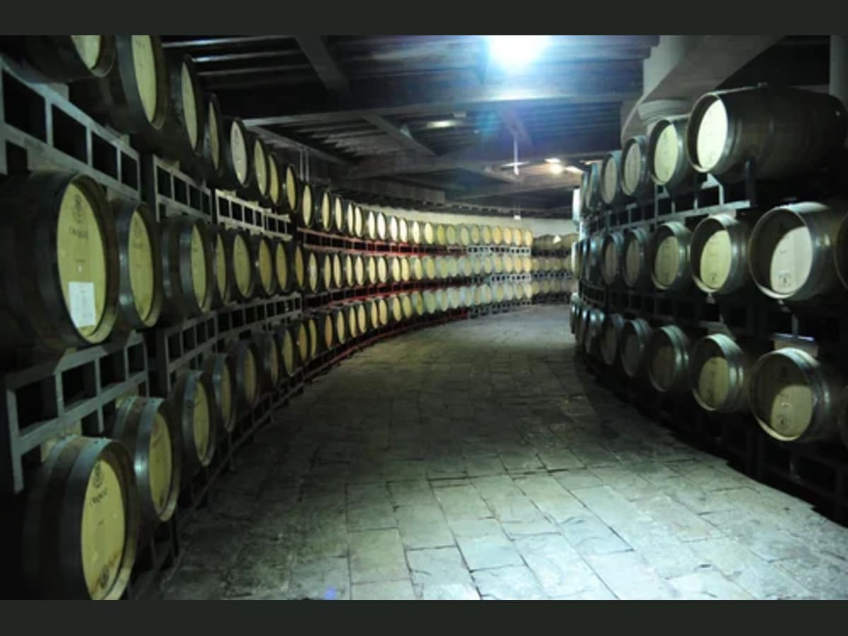 Changyu cellars