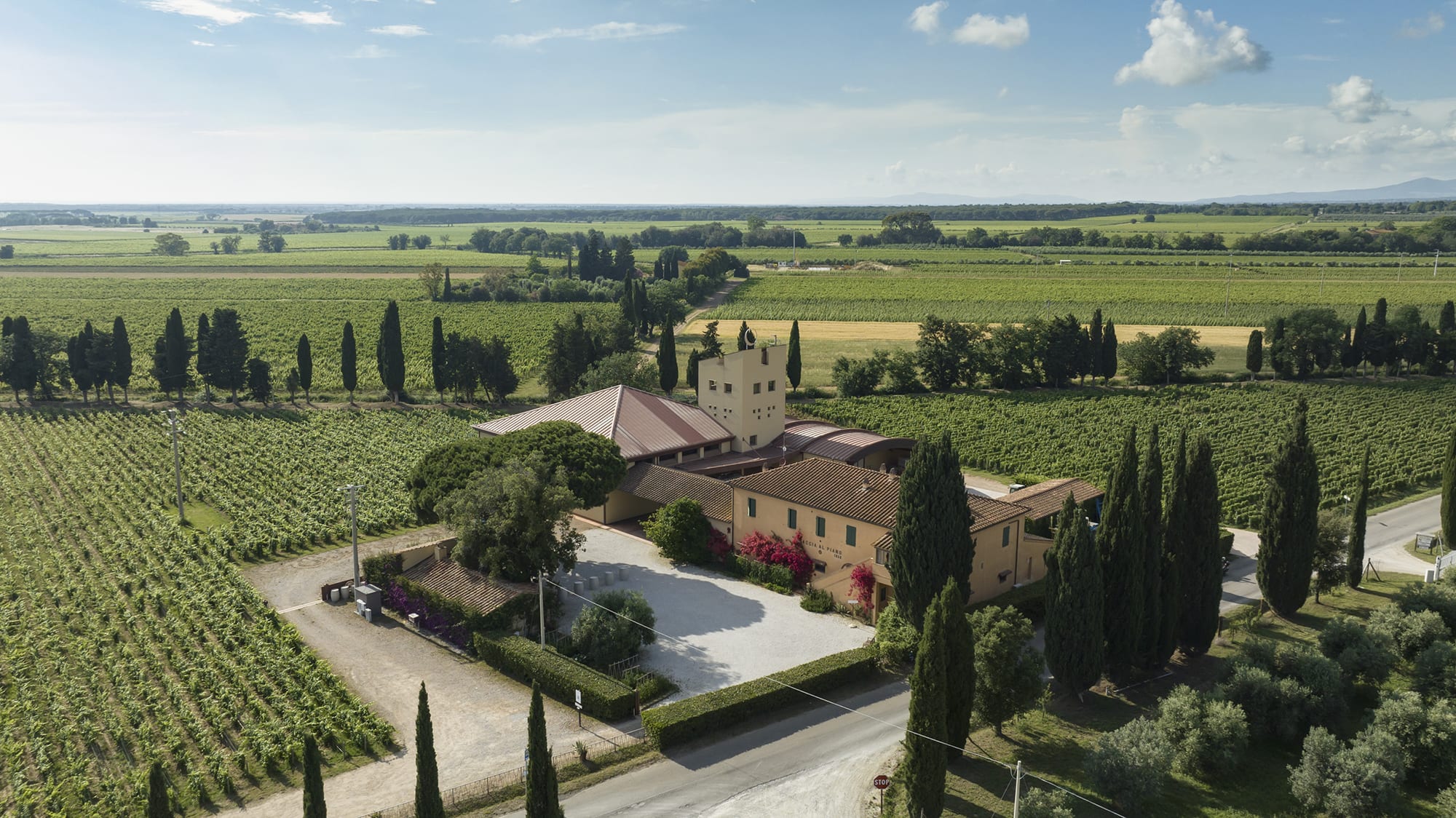 Caccia al Piano winery and vineyards