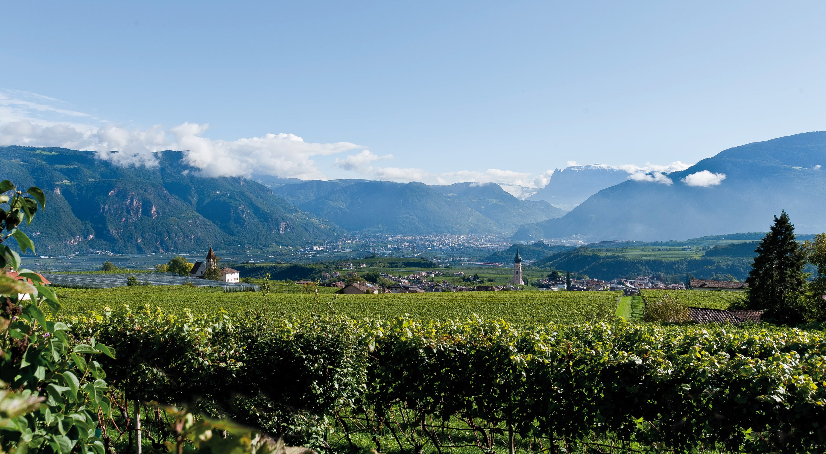 Landscape of Colterenzio vineyards