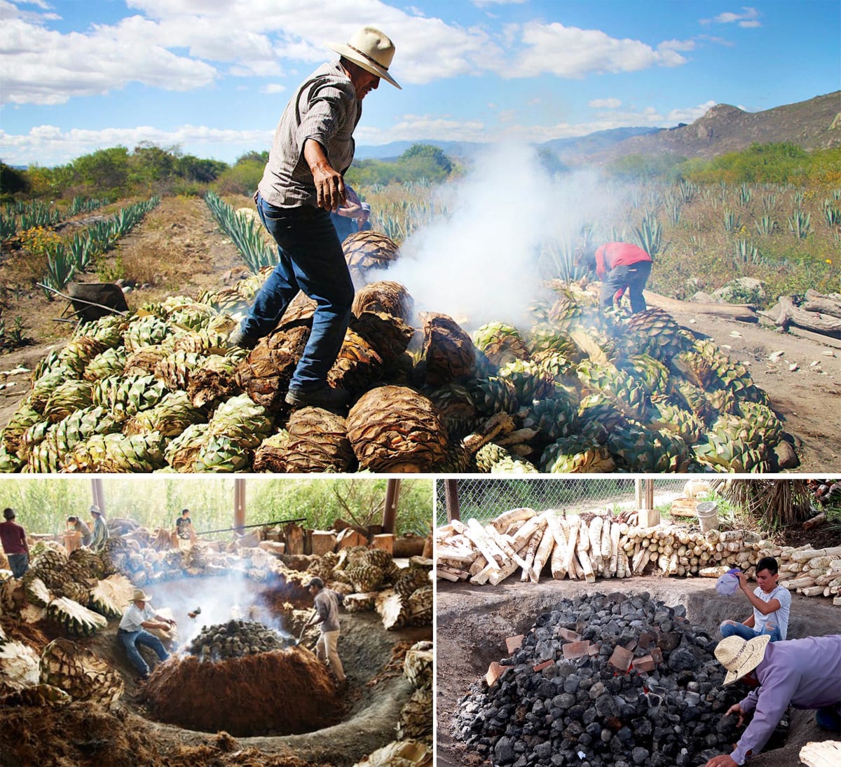 Regional Guide: Mexico - Spirits Beacon