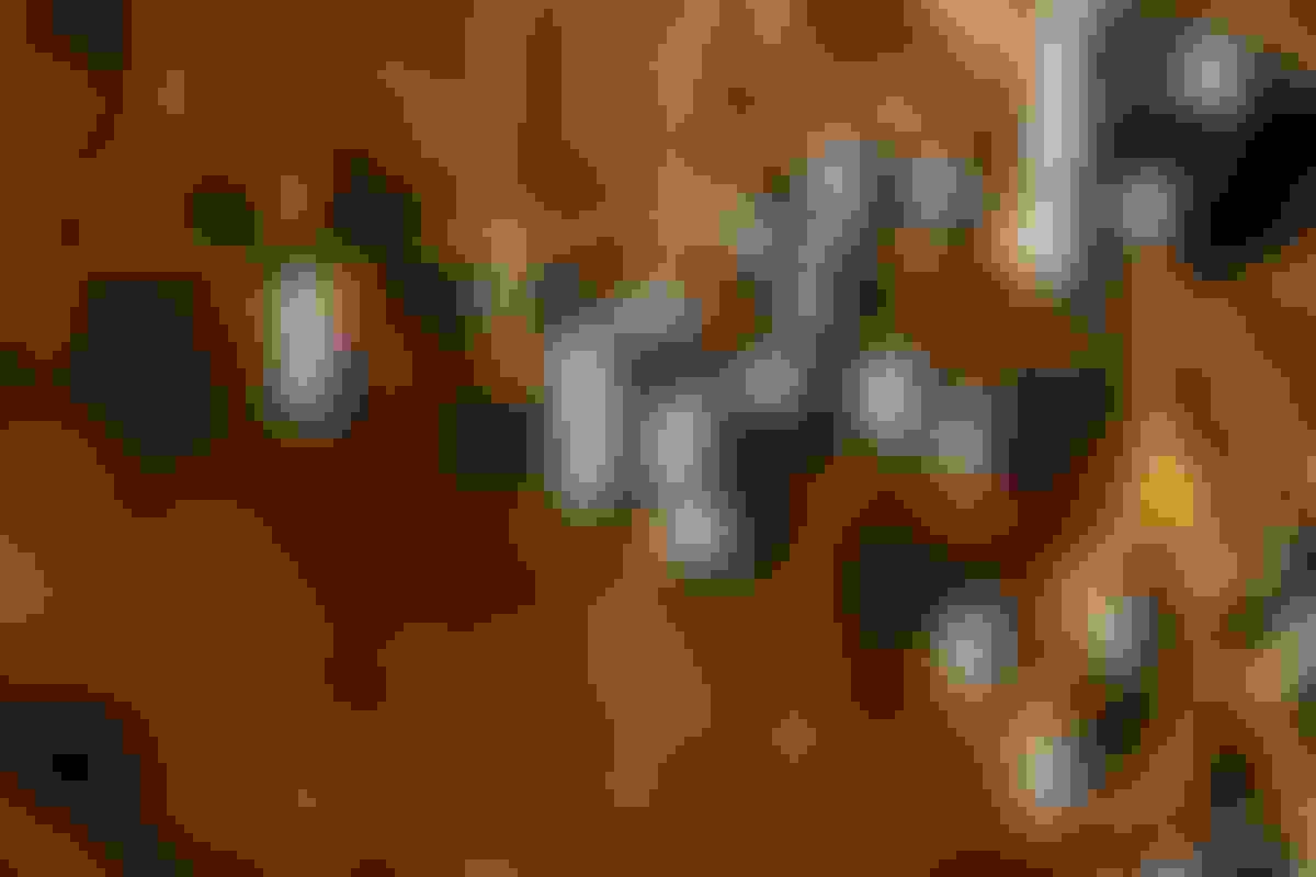 Sloe Berries to make Sloe Gin Sloe Berries to make Sloe Gin