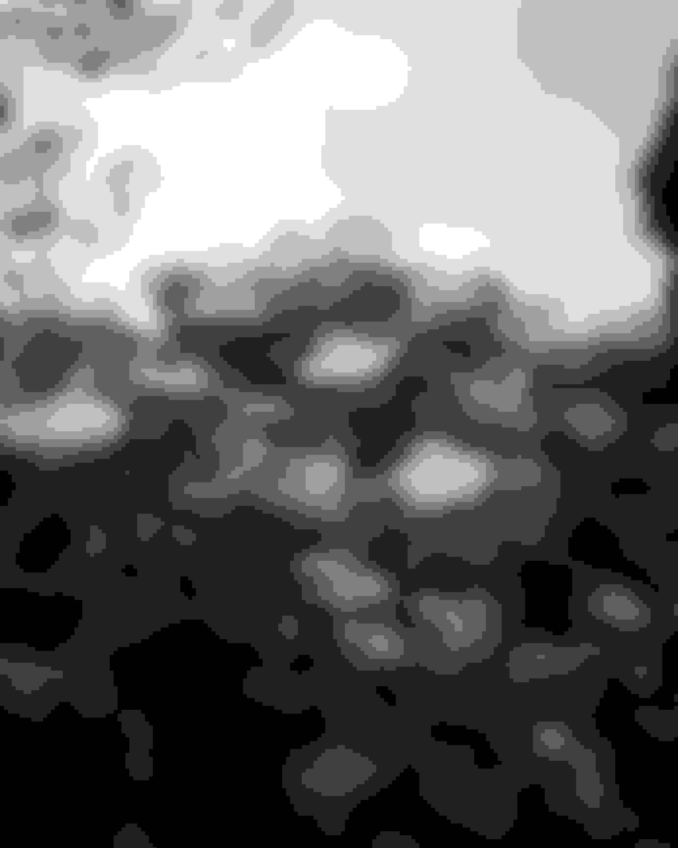 Understanding Gin Botanicals Spirits Beacon