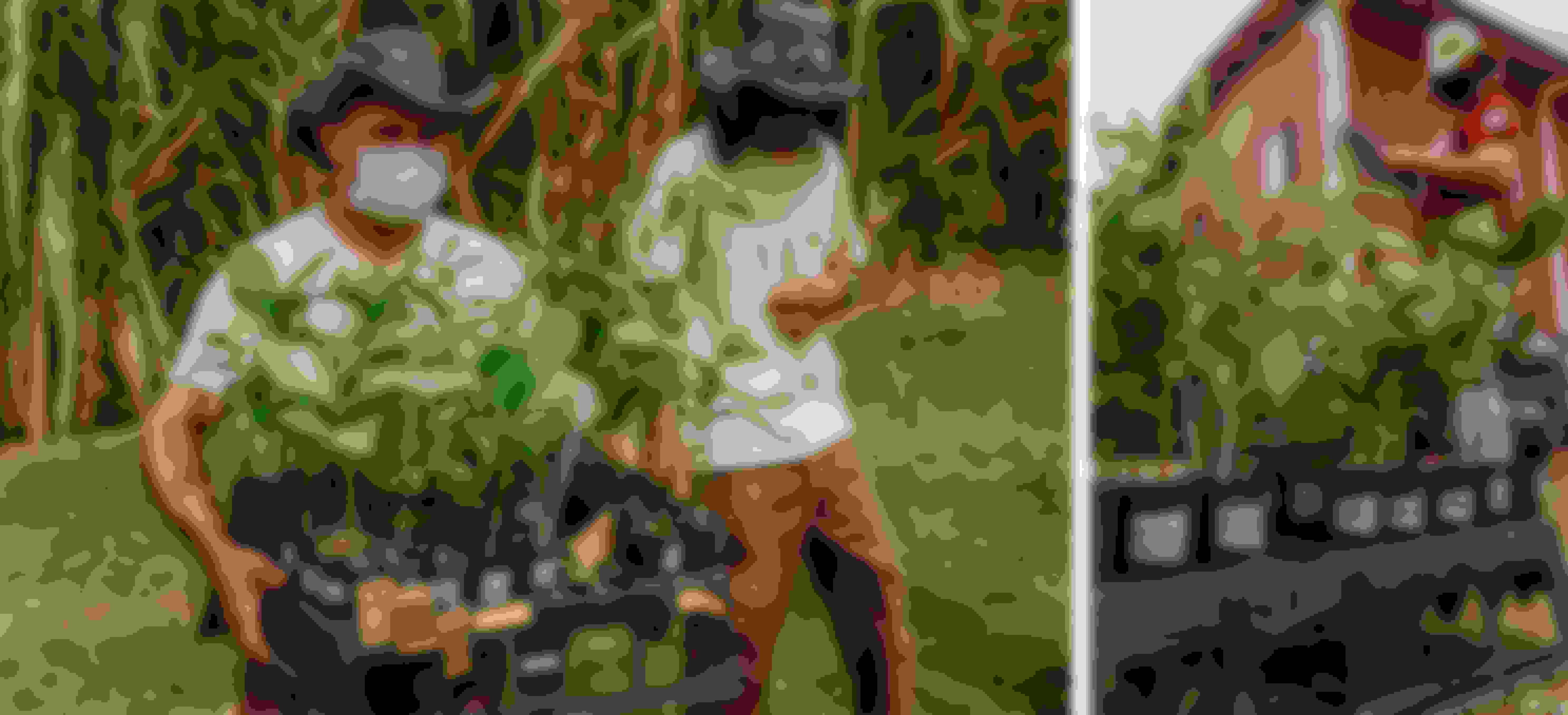 Un-Endangered plant project  Un-Endangered plant project