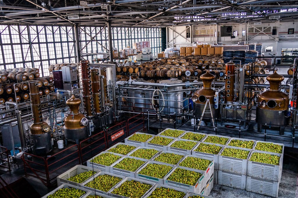 Pear eau de vie at St George Distillery Pear eau de vie at St George Distillery