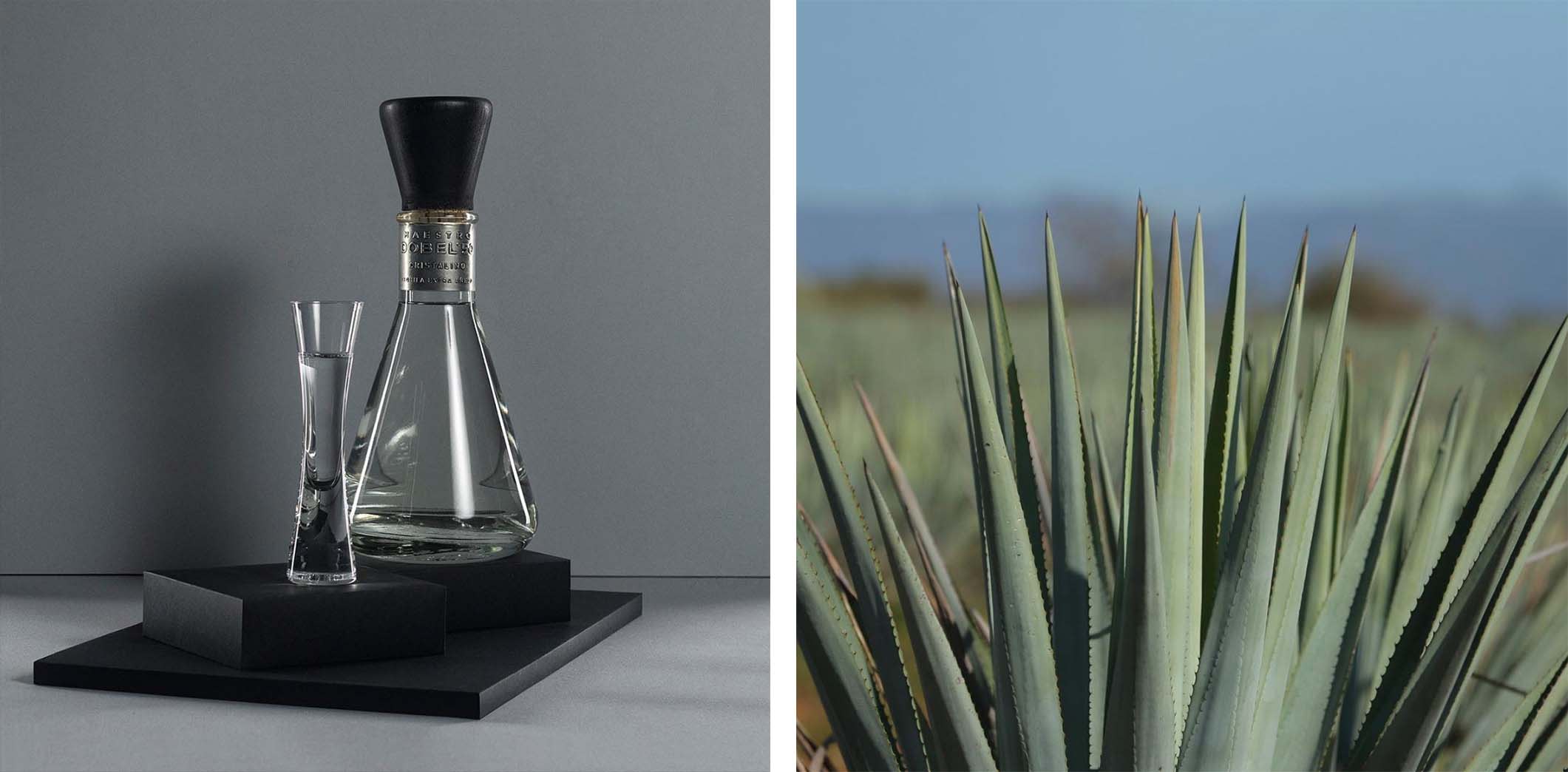 Maestro Dobel Tequila Maestro Dobel Tequila