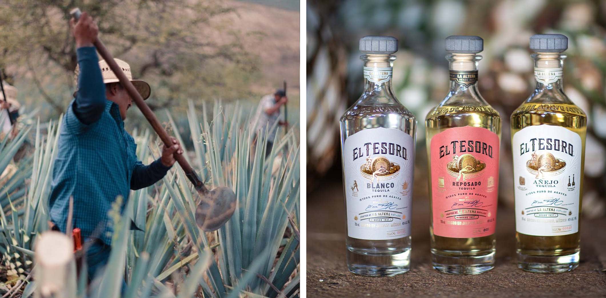 El Tesoro Tequila Range El Tesoro Tequila Range