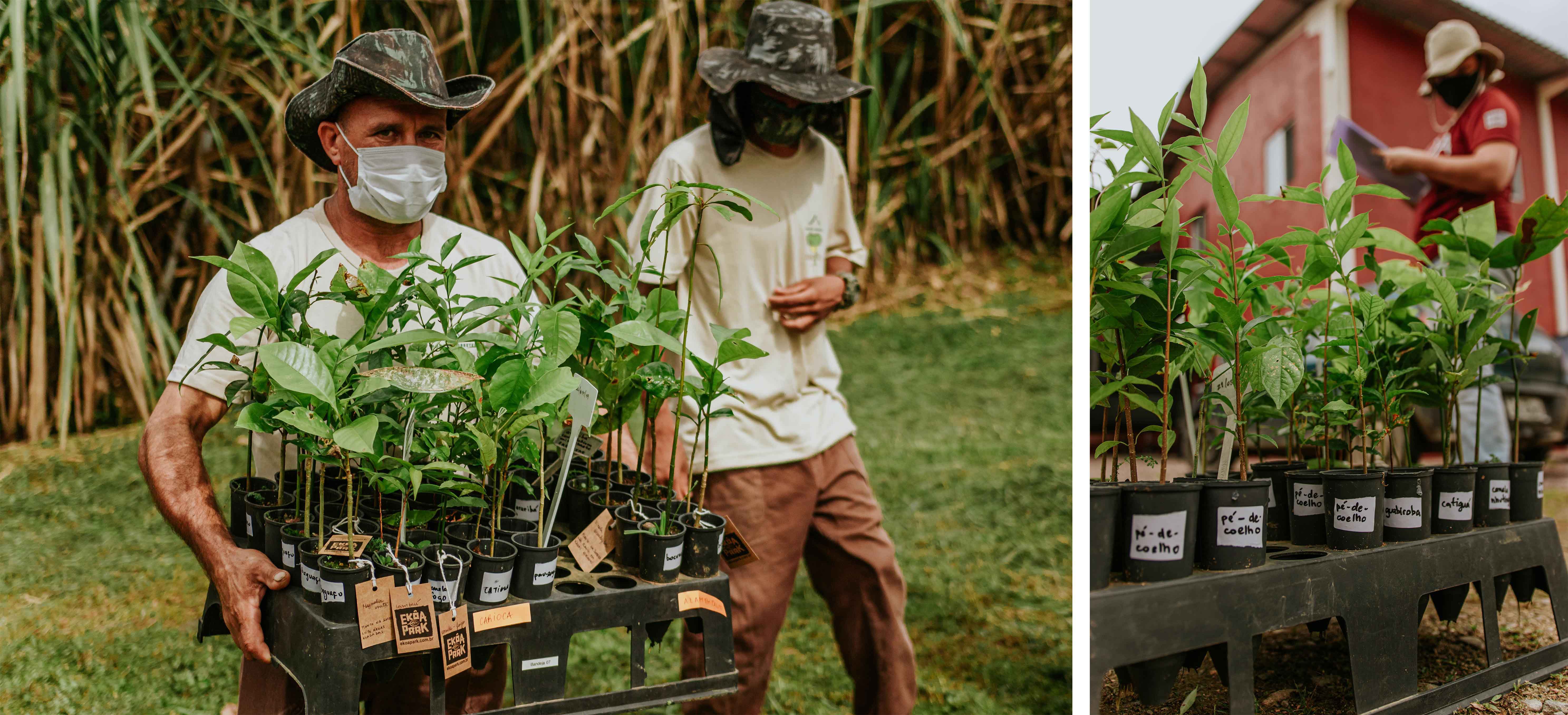 Un-Endangered plant project  Un-Endangered plant project