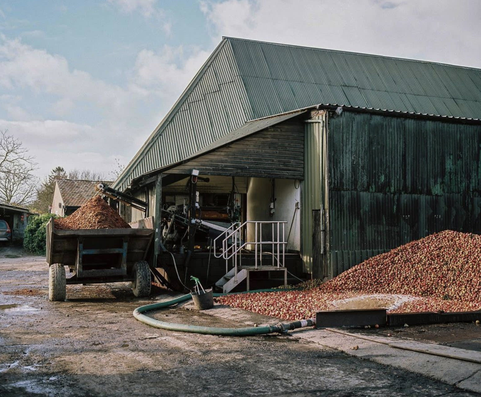 Somerset Cider Brandy Apples Somerset Cider Brandy Apples
