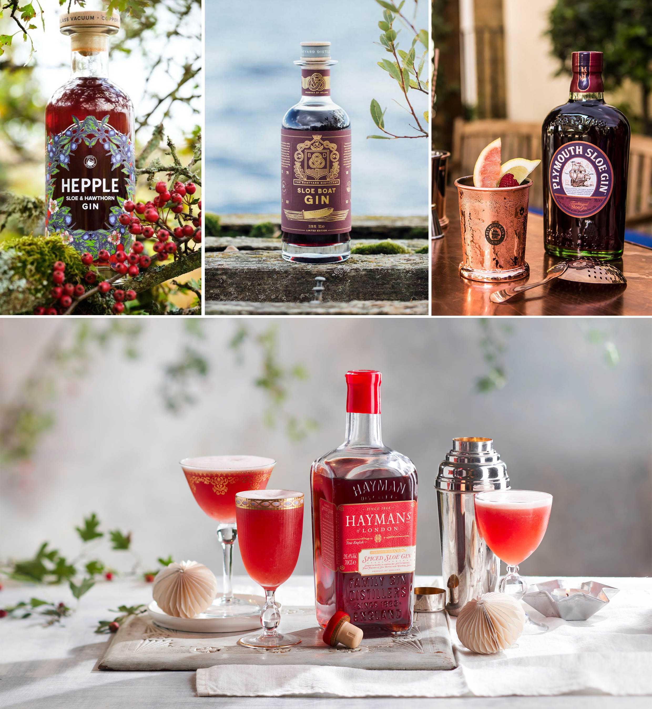 Sloe Gin Selection Sloe Gin Selection
