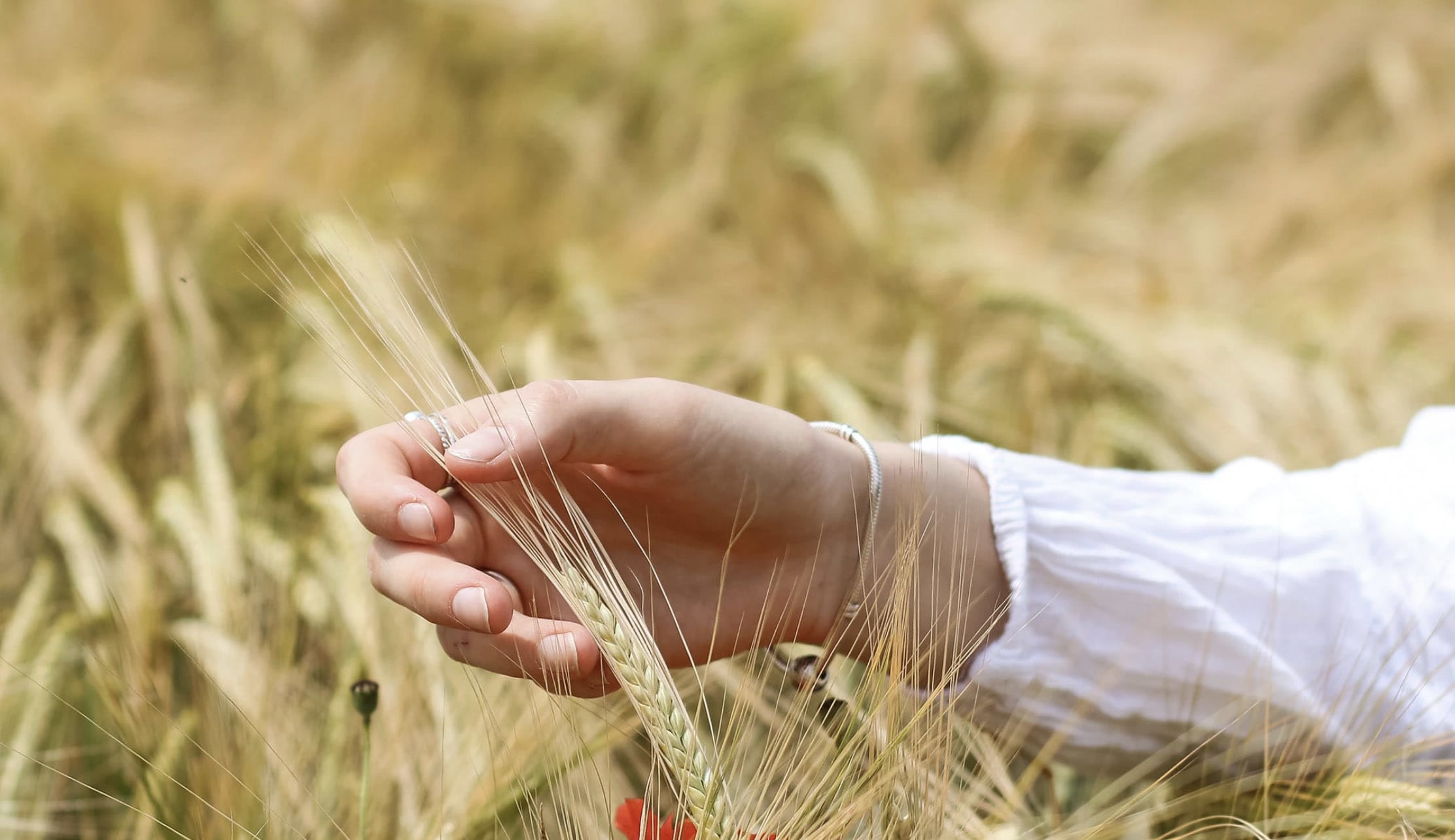 Nc'Nean Organic Barley Nc'Nean Organic Barley