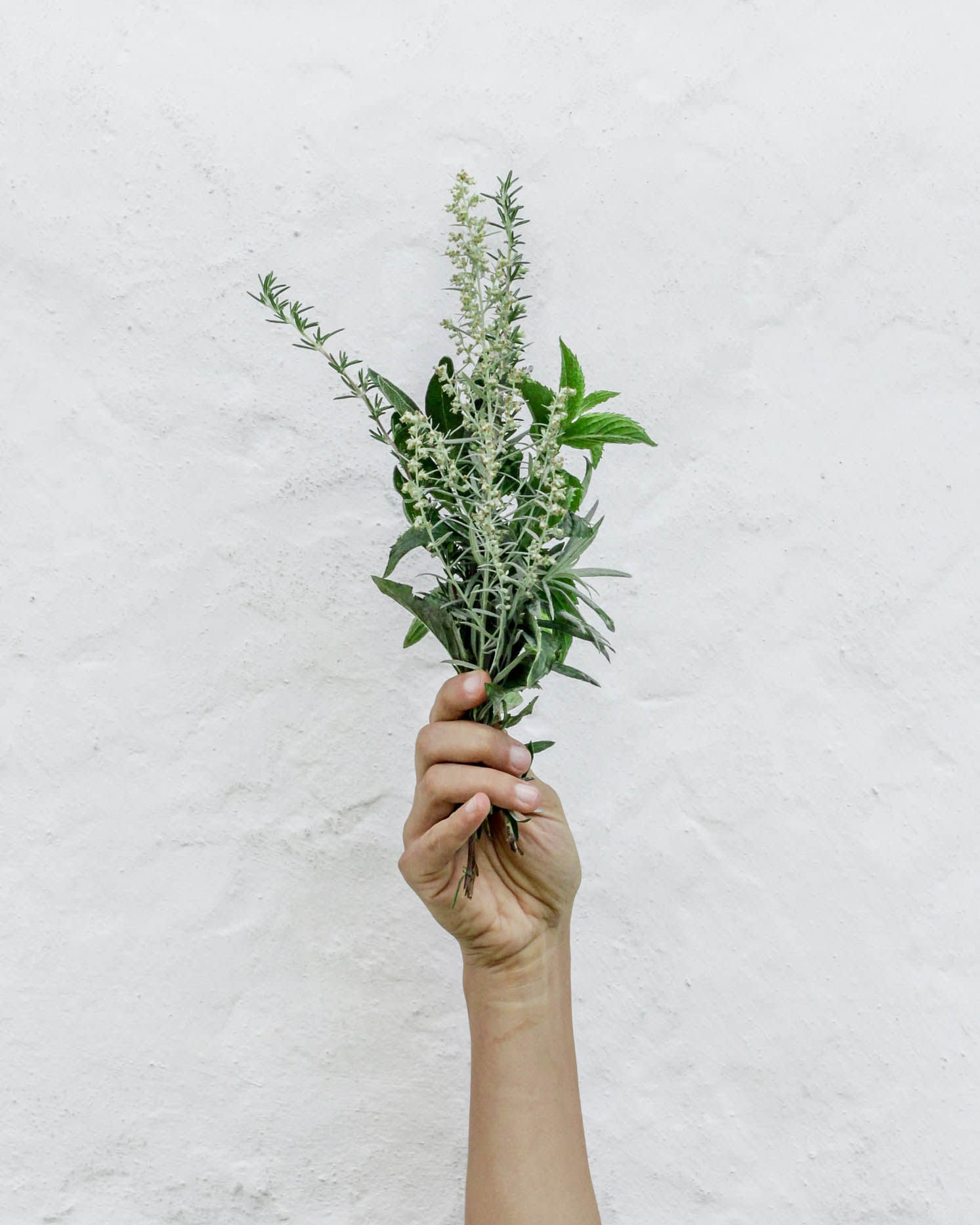 Botanicals Botanicals