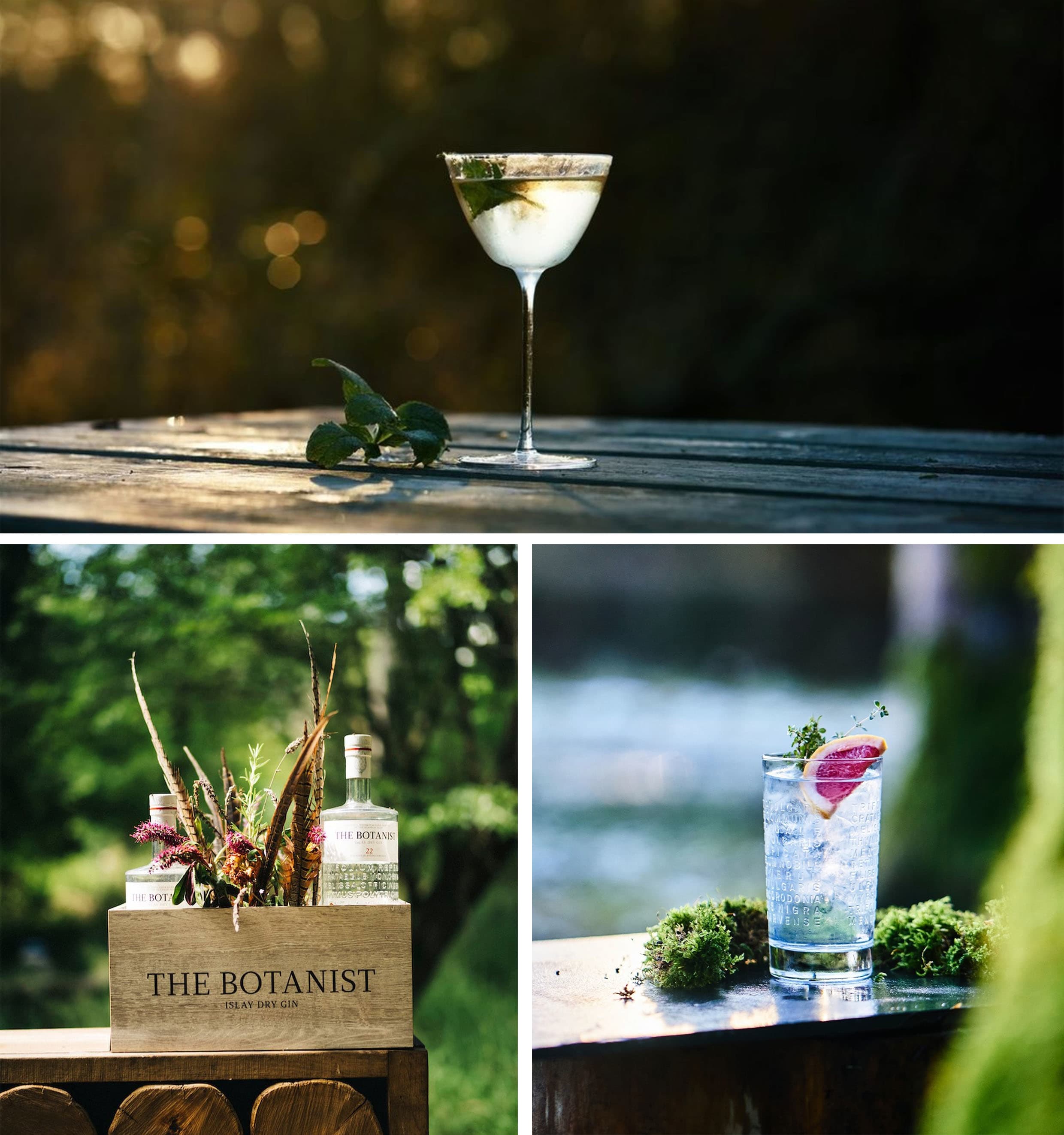 Wild Cocktails with The Botanist Gin Wild Cocktails with The Botanist Gin