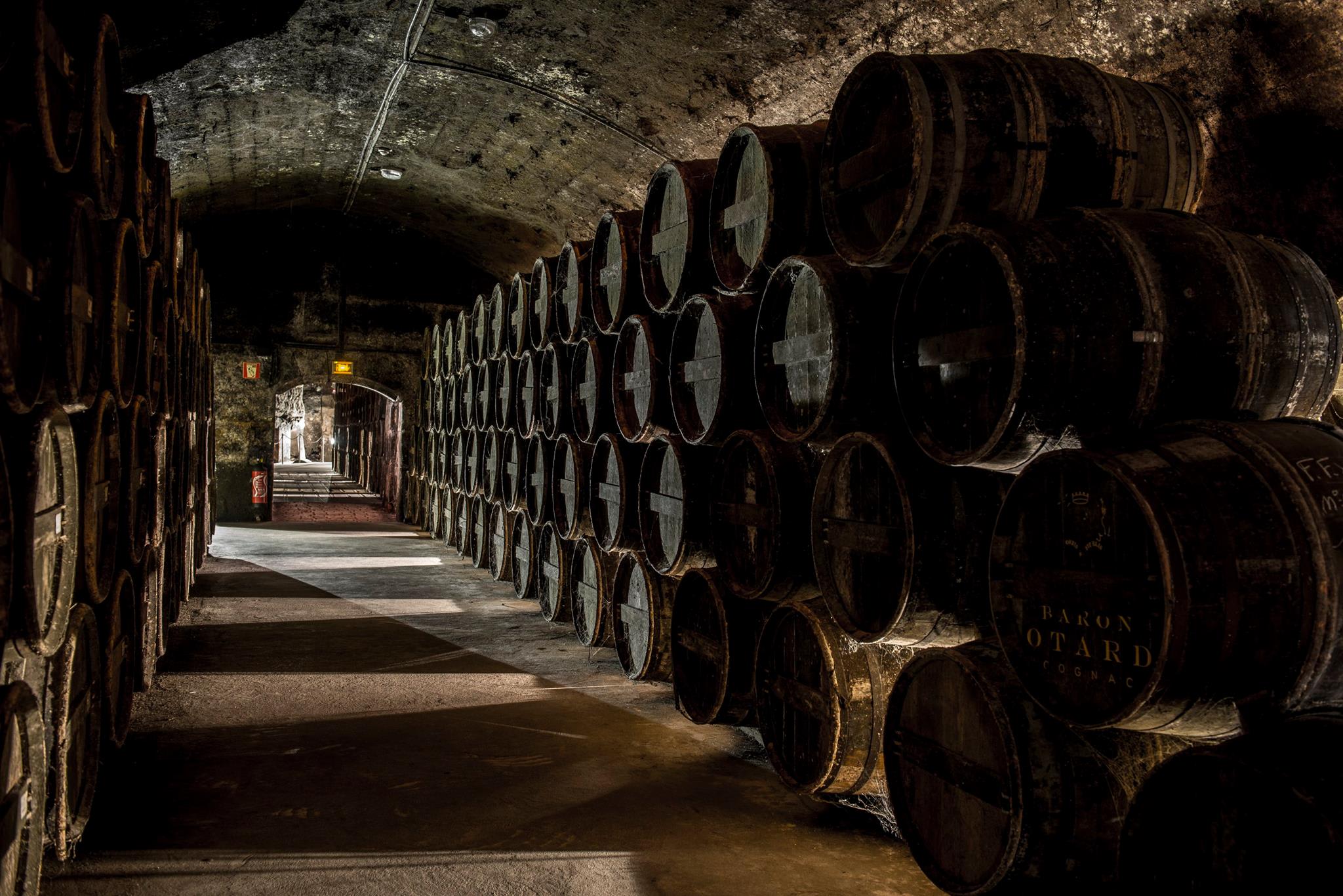 Cognac cellar Cognac cellar
