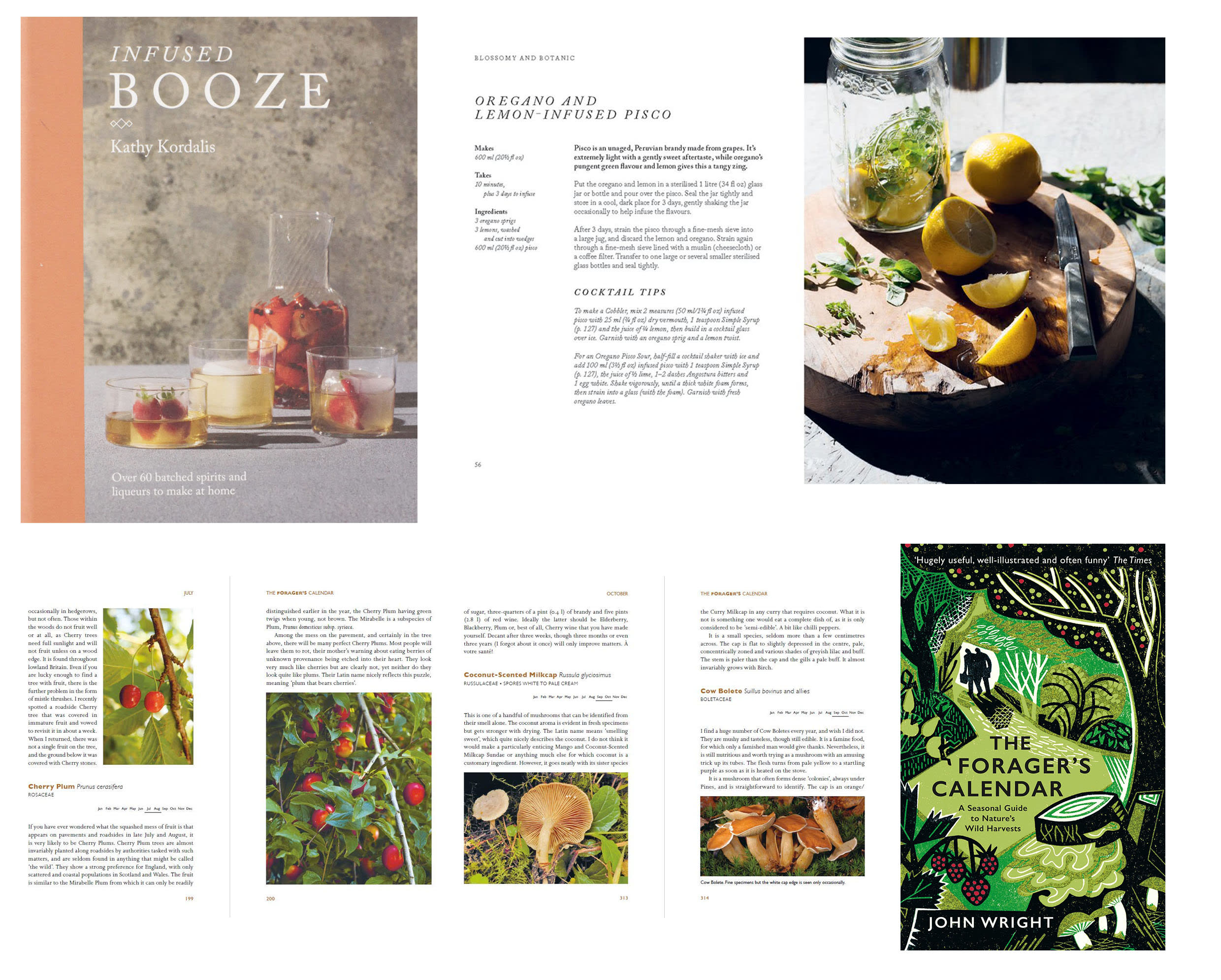 Infused Booze: Over 60 Batched Spirits and Liqueurs to Make at Home & The Forager's Calendar: A Seasonal Guide to Nature’s Wild Harvests Infused Booze: Over 60 Batched Spirits and Liqueurs to Make at Home & The Forager's Calendar: A Seasonal Guide to Nature’s Wild Harvests