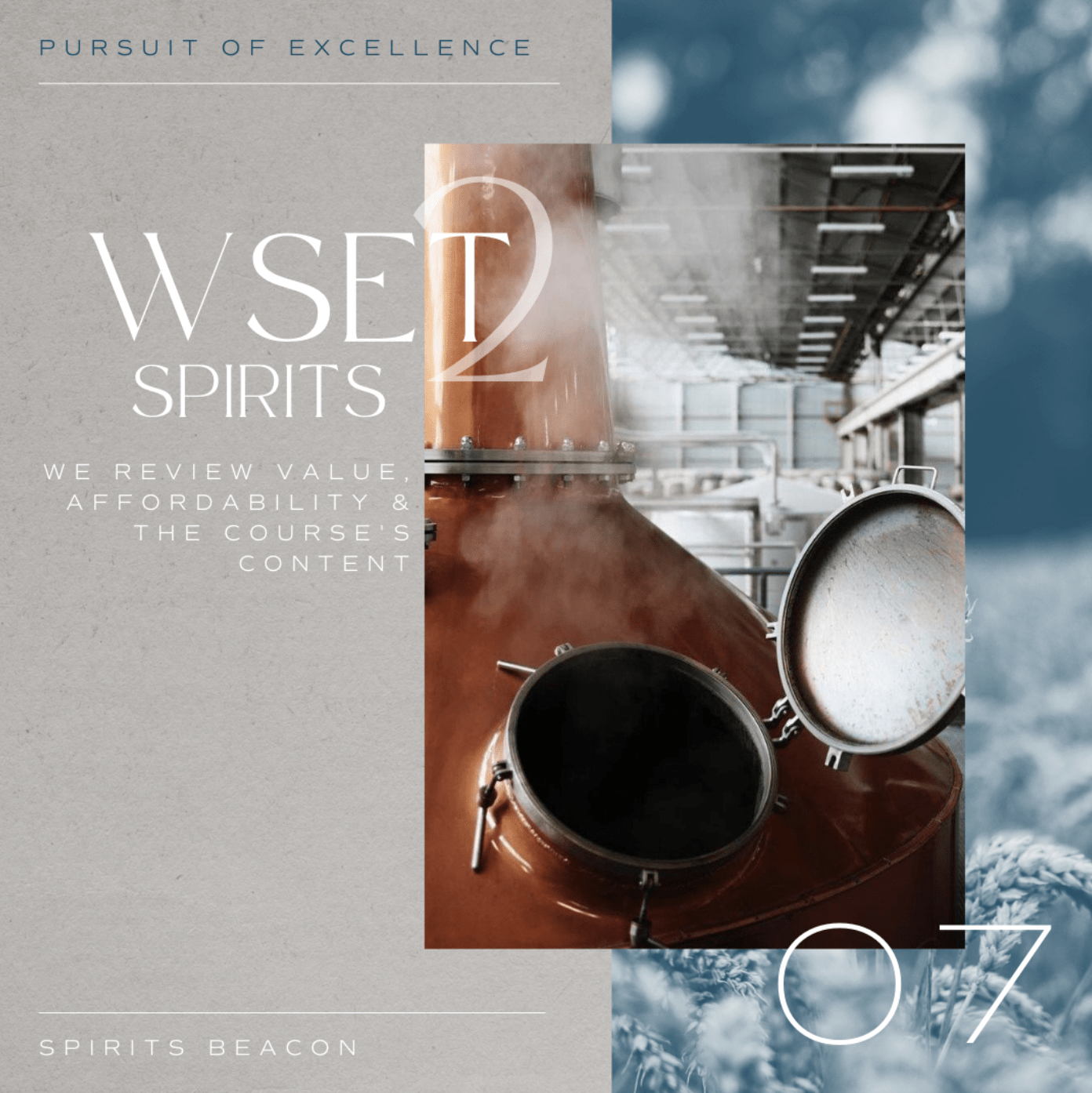 WSET Review - is it worth it? WSET Review - is it worth it?
