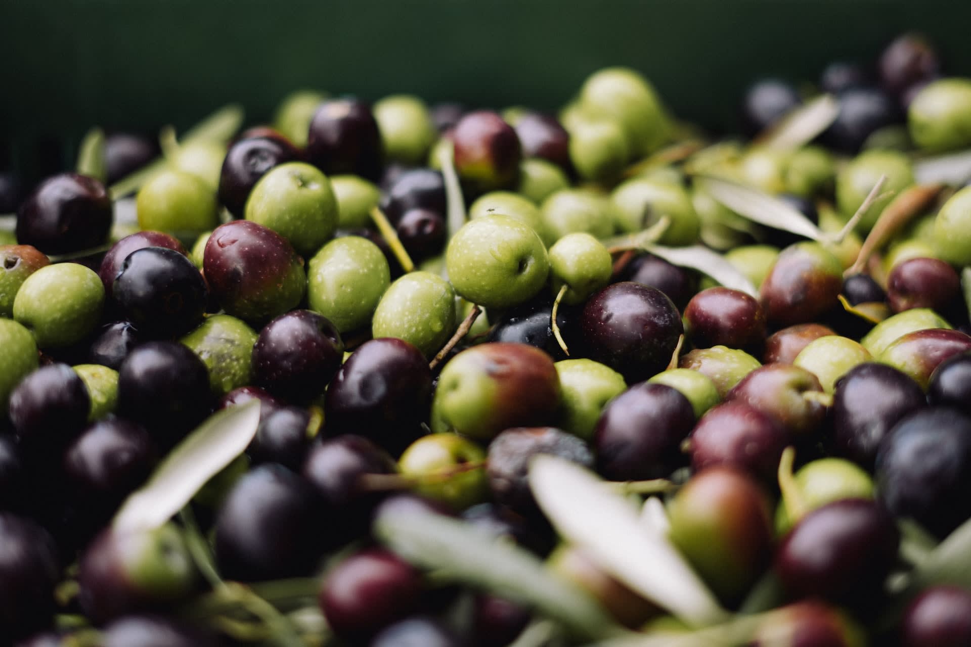 Olives for cocktails Olives for cocktails