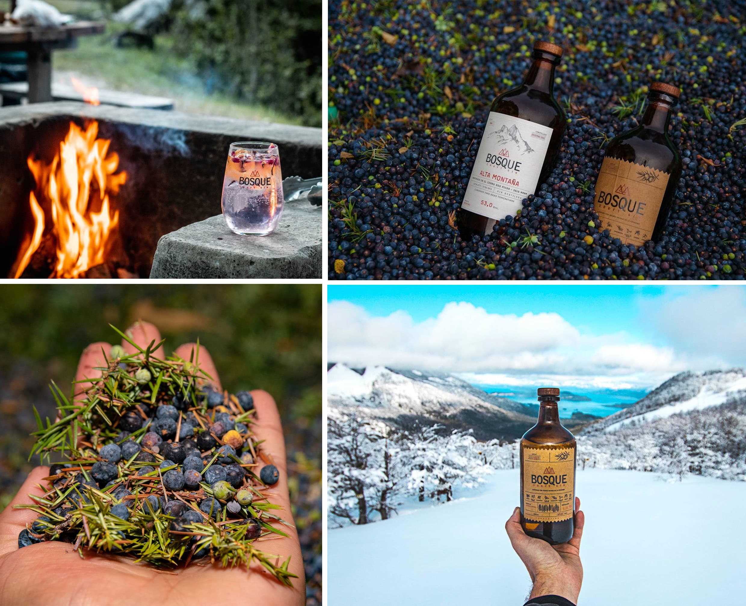 Bosque Gin Bosque Gin