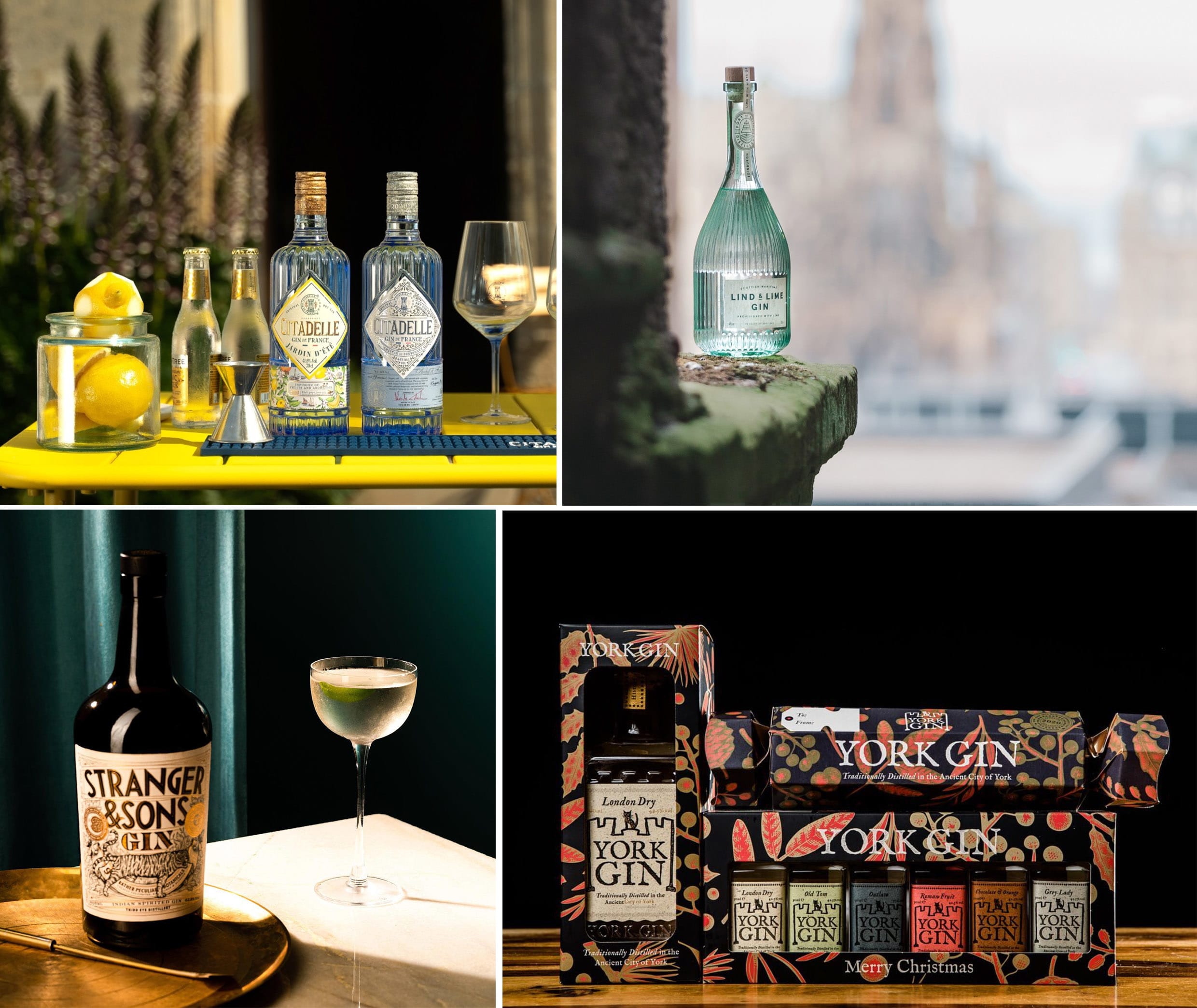 Tried and trusted Gins Tried and trusted Gins