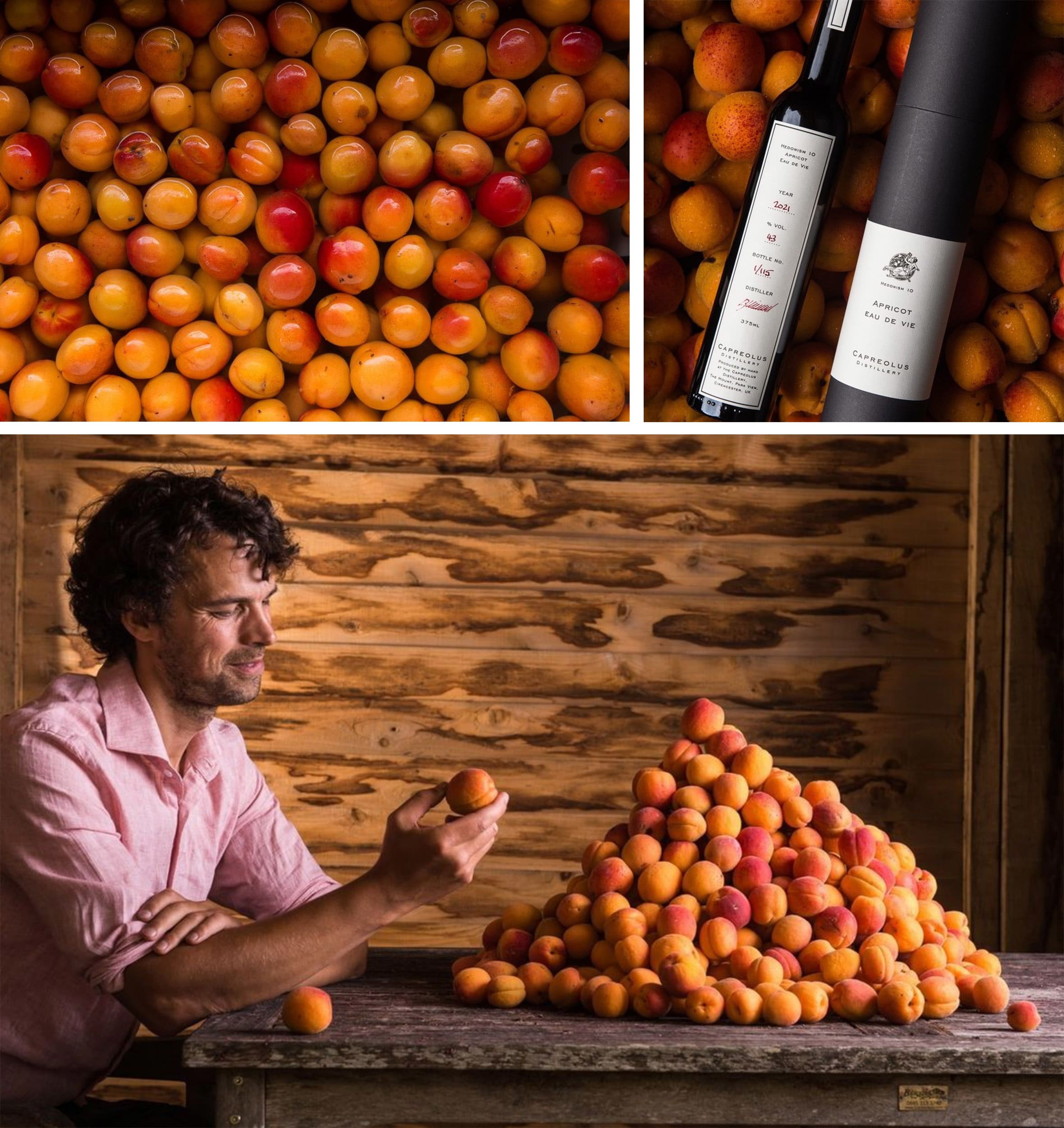 Apricot Eau De Vie Apricot Eau De Vie