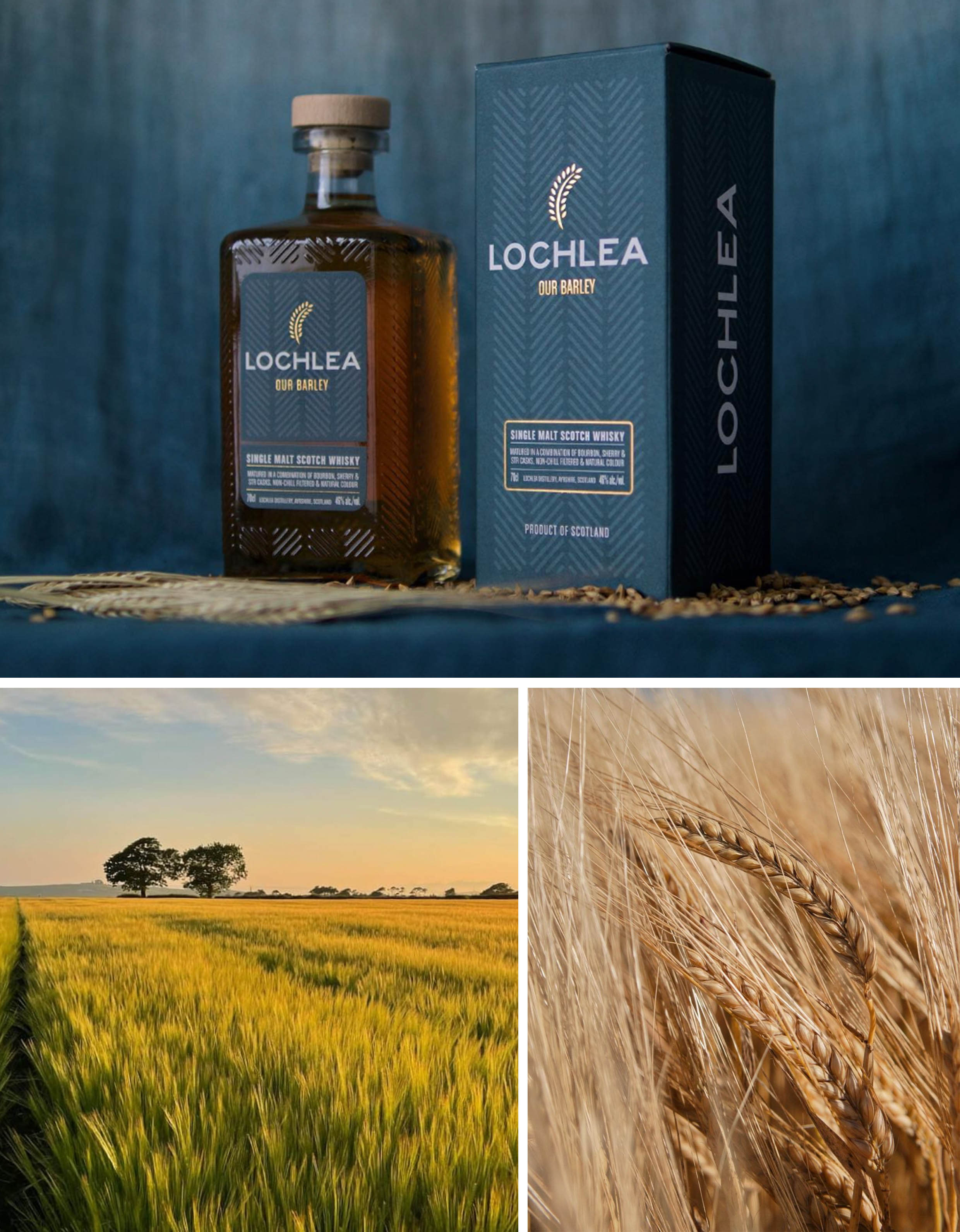 Lochlea Distillery Our Barley Lochlea Distillery Our Barley
