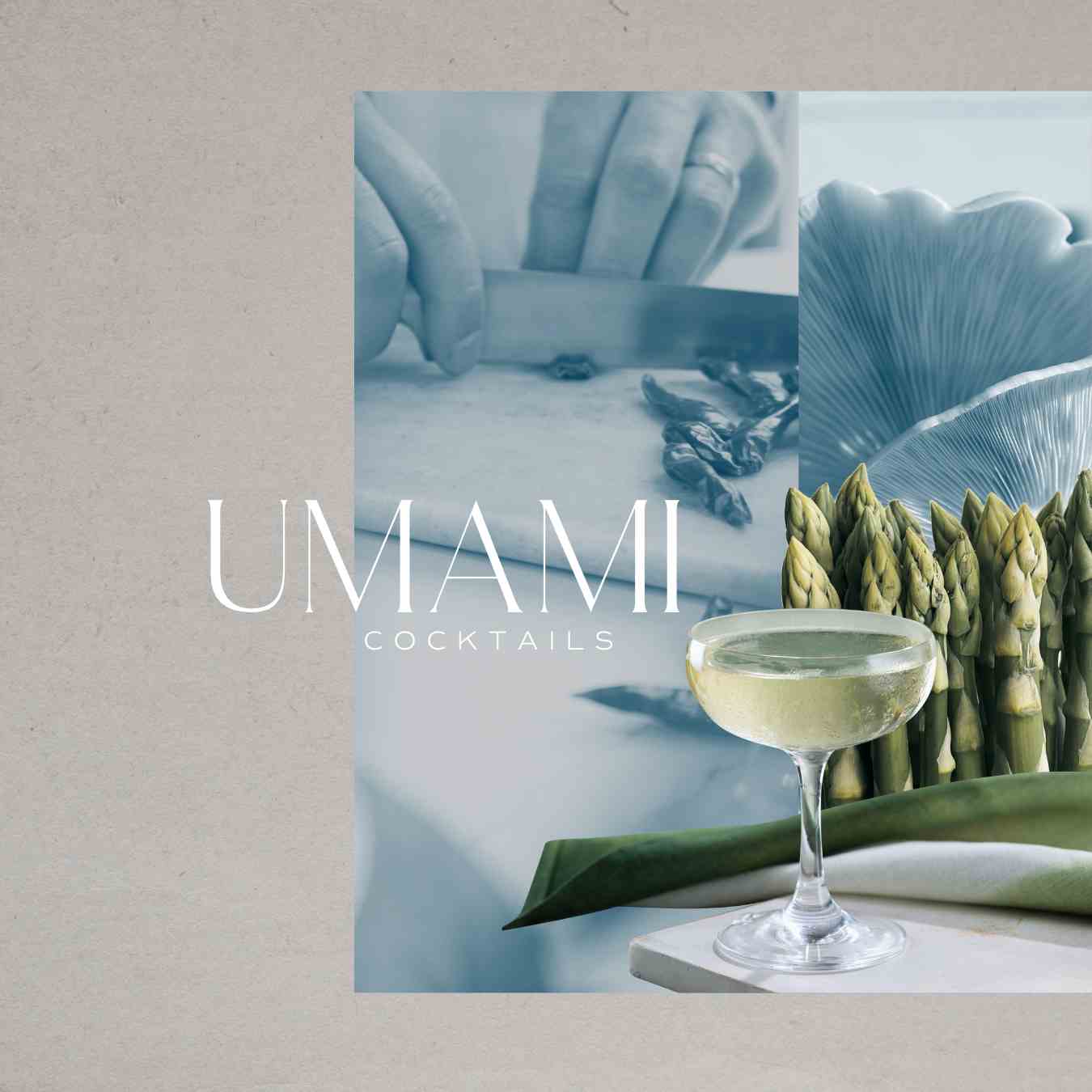 Umami flavours Umami flavours