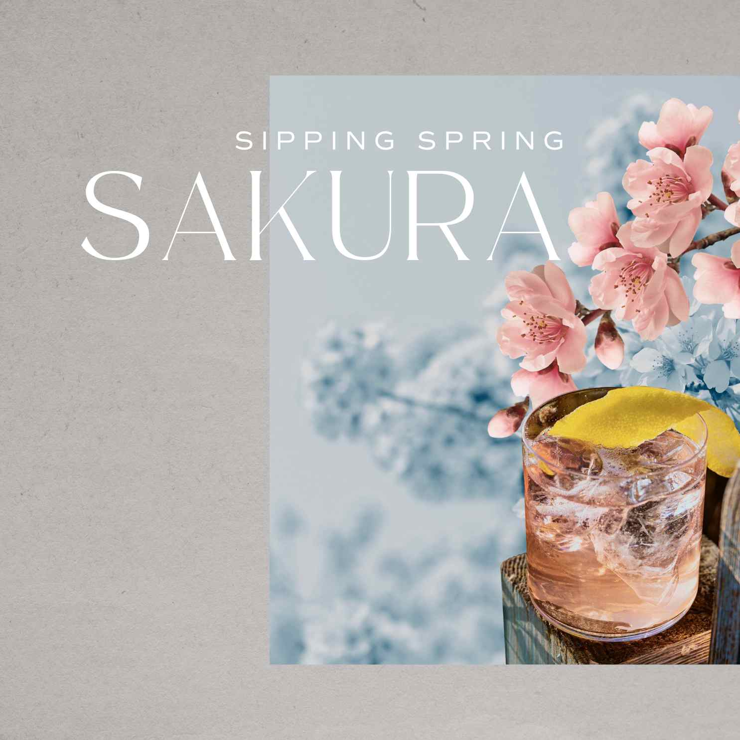 Sipping on Sakura - cocktails with cherry blossom Sipping on Sakura - cocktails with cherry blossom