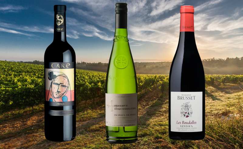 Browse MCC Wines