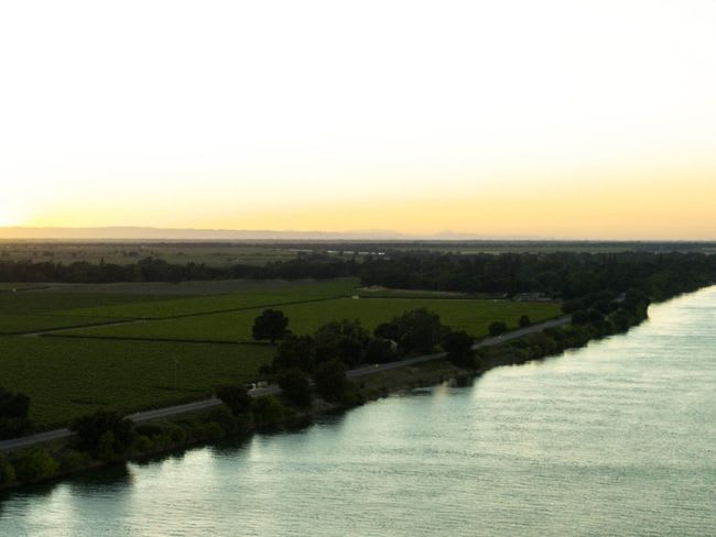 Image Of Bogle California Vineyards Sacramento Delta
