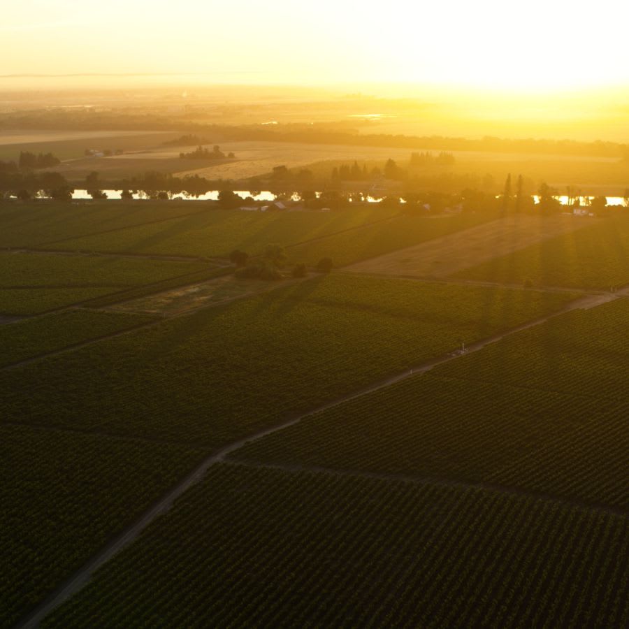 Image Of Bogle Family Vineyards From The Air At Sunset