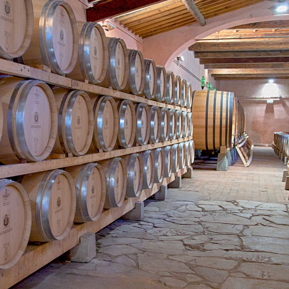 Image Of Frescobaldi Nipozanno Cellar Image Of Frescobaldi Nipozanno Cellar
