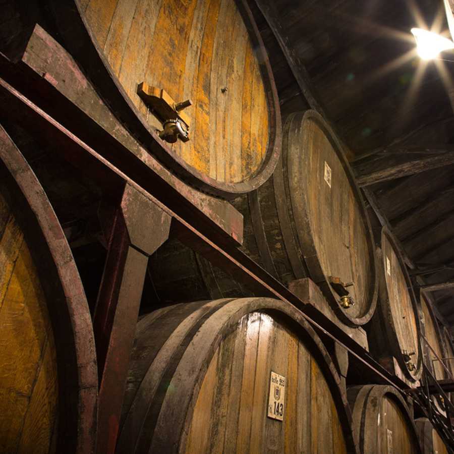 Image Of Fontanafredda Barrels