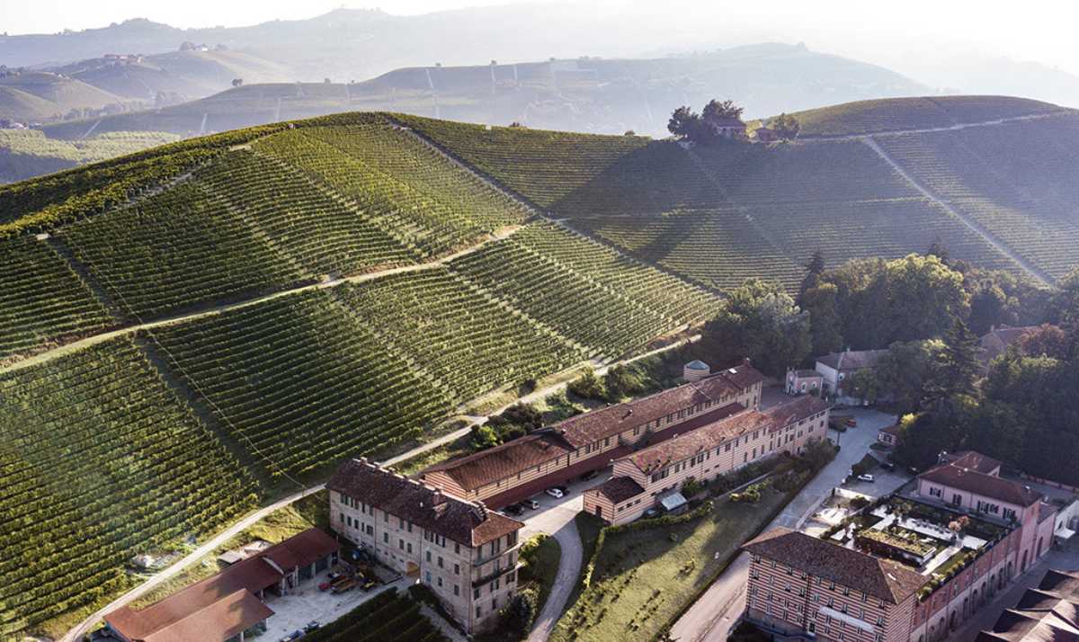 Image Of Fontanafredda Vineyards