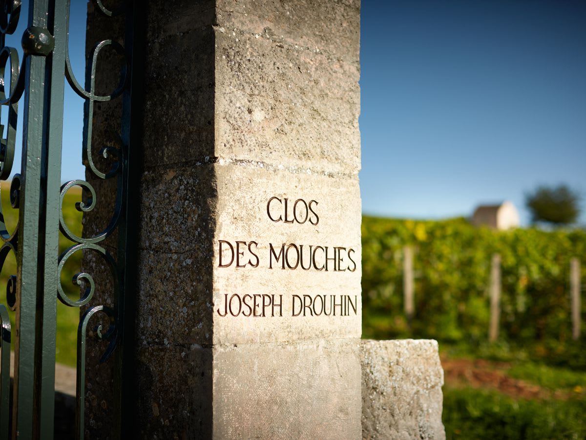 Image Of Clos Des Mouches vineyard, Joseph Drouhin