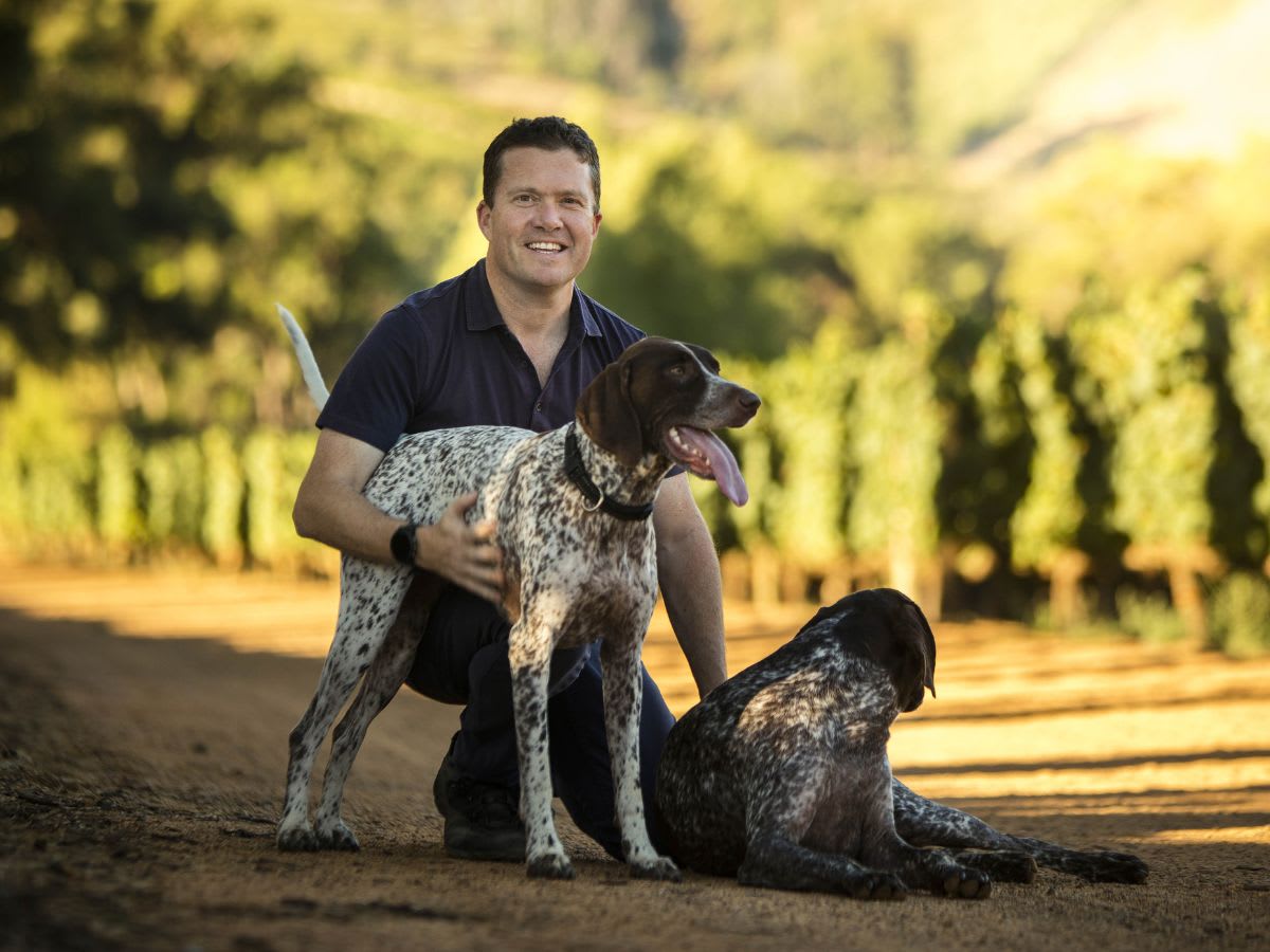 Image Of Thomas Webb with his dogs in the vineyard