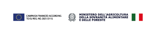 ocm logo.png