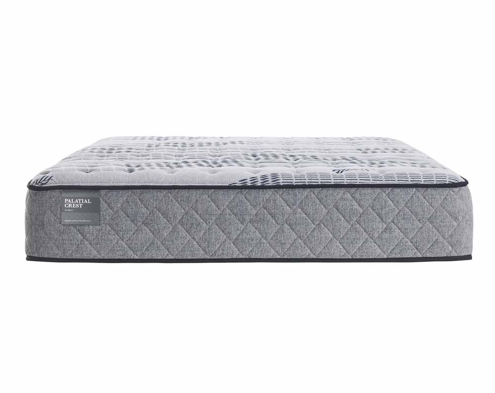 ascot plush mattress